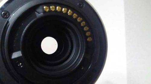 よく見ると黒い点が・・