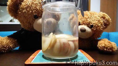 親子で観察のイメージ（プクとモジャは親子ではに！）