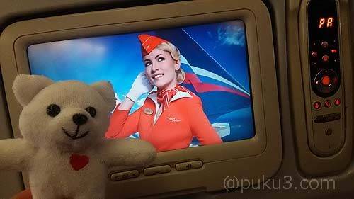 このおねーさんがお出迎え