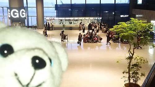 コチラの窓口に11時過ぎ集合