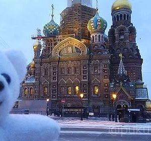 工事中でした、、血の上の救世主教会