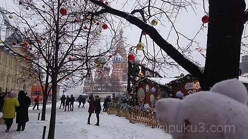 頭部に鮮血が・・