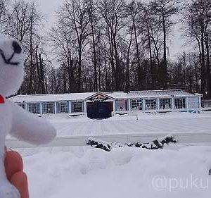 夏の宮殿なのに、スケート場もあります