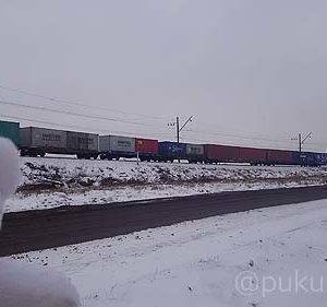 かなり長い車列の貨物列車でした