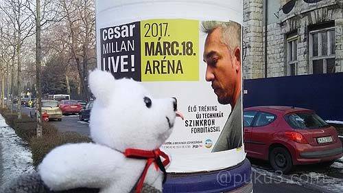 シーザー・ミランと共演（2017年1月、ブダペストにて）