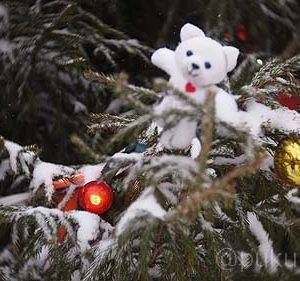 クリスマスツリーとともにワンショット！